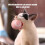 Rotating LED Cat Toy with Motion Activation 5