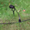 Low Voltage Garden Light Connectors Plastic 16 pcs 3