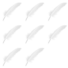 800pcs White Feathers for Party Hat Crafts Wedding Decoration 15-22cm