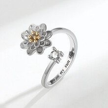 Bague anti-stress réglable style jardin avec zircone cubique pour femmes accessoires à main