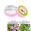 (2pcs) Herbal Clove Toothpaste Tooth Paste Powder Anti Care Mouth 4