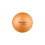 ABS rehabilitation ball 25cm 1