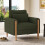 (Green) Fauteuil avec accoudoirs, coussin épais et structure renforcée 1