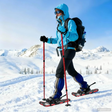 vidaXL 3 in 1 Snowshoes Red and Black 63.5 x 21 cm Aluminum and HDPE