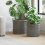 VidaXL vidaXL Planter Basket with Storage 2 pcs Grey Lacak Rattan 1