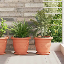 vidaXL Runde Blumenplatte 24 stk. Ziegelrot Ø 19 x 2 cm Kunststoff