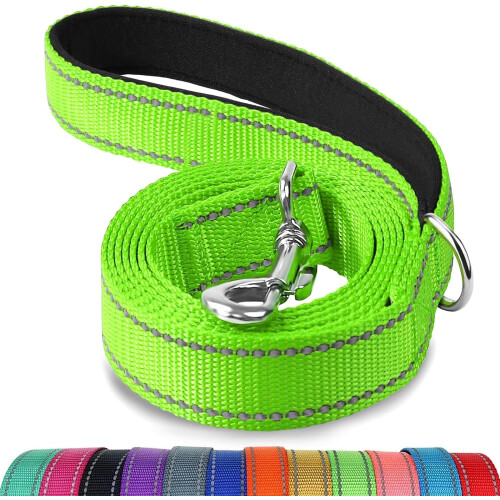 Reflective Dog Leash Nylon Padded Handle 5 FT