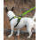 Reflective Dog Leash Nylon Padded Handle 5 FT 2