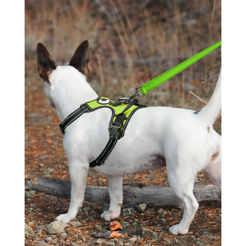 Reflective Dog Leash Nylon Padded Handle 5 FT 1
