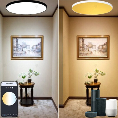 Zigbee 3.0  Ceiling Lights 24W Led Ceiling Lamp RGBCW Led Work with Alexa  Voice Control APP Dimming White 2