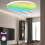 Zigbee 3.0  Ceiling Lights 24W Led Ceiling Lamp RGBCW Led Work with Alexa  Voice Control APP Dimming White 4