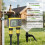 Intelligent Watering Controller Dual-Zone Water Timer Control System Automatic Outdoor Flower Watering Valve Device 5