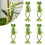 6Pcs Frog Plant Stand,  Green 1