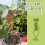 6Pcs Frog Plant Stand,  Green 2