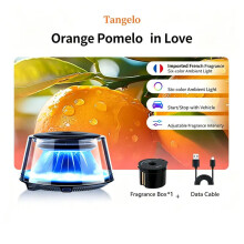 (diffusertangelo) Fashion Car Aromatherapy Perfume Interior Decoration Fragrance Long-Lasting New Car Aromatherapy Accessory Replace Part