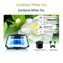 (diffuserwhitetea) Fashion Car Aromatherapy Perfume Interior Decoration Fragrance Long-Lasting New Car Aromatherapy Accessory Replace Part