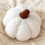 Pumpkin Pillow Plush Cushion 11 Inch White 1