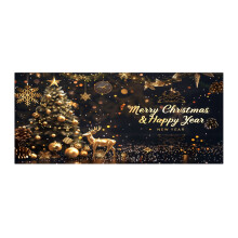 Christmas party background Santa garage door decoration