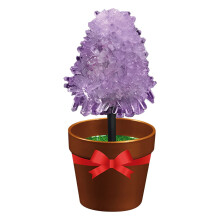 Crystal Growing Kit STEM Science Experiment for Kids Ages
