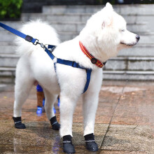 Pet Rain Shoes Black Slip-On Dog Shoes Size 4