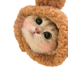 Pet Cat and Dog Decorative Hat Head Cover 1 Piece