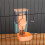 Rabbit Automatic Food Dispenser Hanging Gravity Feeder 29 1