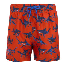 (5 - 6 Yrs, Rusty Orange/Sharks) Regatta Kids Skander Swim Shorts