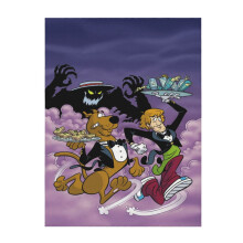 Scooby Doo plush throw blanket 50" x 40"