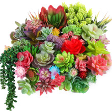 Assortiment de fausses plantes succulentes, plantes artificielles résistantes à la décoloration pour la décoration de jardin DIY, mini-plantes