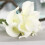 Τεχνητή διακόσμηση σπιτιού Calla Lily, κομψές συνθέσεις λουλουδιών για γάμο, 1