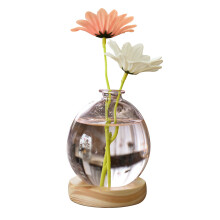 Décoration de style nordique pour la maison et le bureau : vases de propagation en verre, récipients en verre borosilicate, pots hydroponiques,