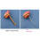 Reusable Transparent Straw Replacement for Owala Swap 2
