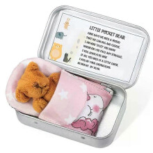 (B Pink) Mini Plush Bear Box Tiny Pocket Ornament Pouch Tin for Showers Birthdays Special Occasions