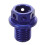 Blauwe Motor Olieafvoerschroef Met Rubberafdichting 1
