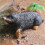 Land Simulation Wildlife Model Solid Mole Early Education Figurine Dolls Toy 3