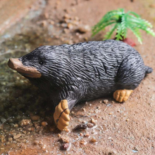 Land Simulation Wildlife Model Solid Mole Early Education Figurine Dolls Toy 2