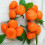 Artificial Orange Fruit Decor 9 pcs 3