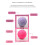 Massage Roller Portable Muscle Relaxation Tool 2 Pack 7