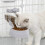 Automatic Pet Feeder for Small Dogs and Cats3Colors 4