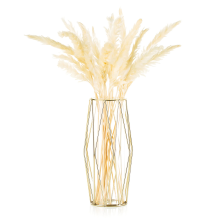 Vases en verre dorés, support élégant en métal géométrique avec vase cylindrique transparent pour intérieur moderne, design scandinave.