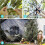 Halloween spider web decoration with large spider 12 ft 3