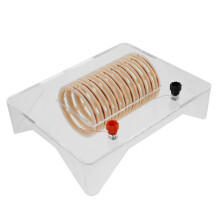 Elektromagnetisch Leermiddel Voor En Circuits