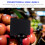Clip-on Basket Labels Organizing Cubes 12pcs 2