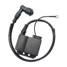 Motorcycle Igniter, for BOBINE /RIEJU/AM6 Igniter Coil, High Pressure Coil for 9.9HP 15HP 18HP Engine Replacement