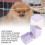 Automatic Pet Feeder Purple Large Capacity Leakproof 5