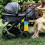Portable toddler potty for boys, standing urinal 2