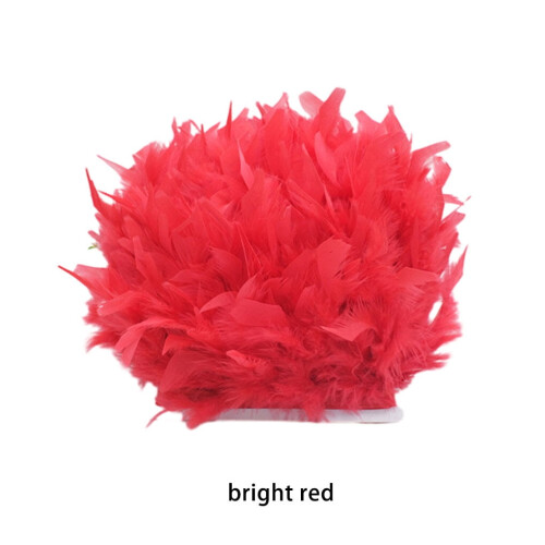 Feather Trim Ribbon Multi-Color 10m 1