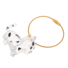 1Transparante Kat Haar Bewaardoos Met Kawaii Petsleutelhanger