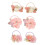 6St Elastische Haarbobbels Kleine Jongens 1