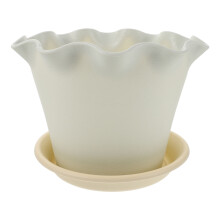 1Witte Plantenpot Met En Lotusrand Voor Succulenten En